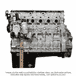 Long Block Engine DD13 12.8L EPA07 with Front Sump