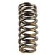 Engine Valve Spring - 1.5L