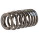 Engine Valve Spring