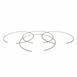 Ring Retaining (AT)