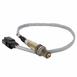 Oxygen Sensor Exhaust Gas (EcoBoost)