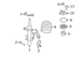 Coil Spring - Left, Right, Front