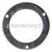 RING-SECURITY FLG MNT LIGHT