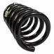 Coil Spring - Left, Rear