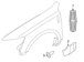 Fender Molding - Right