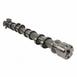 Engine Camshaft - 5.0L