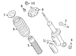 Coil Spring - Rear