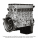 3/4 Engine DD15 14.8L EPA10 with Rear Sump, ESN 0077481 and Later, 6 Lobe Camshaft