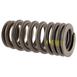 Engine Valve Spring