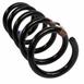 Coil Spring - Left, Right, Rear