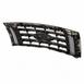 Radiator Grille - Front, Upper, Lower