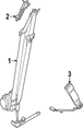 Buckle Seat Belt - Left, Front