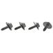 Screw and Washer
