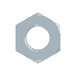 Hex Nut