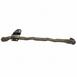 Steering Drag Link Rod