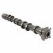 Engine Camshaft - 5.0L